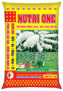NITRI ONE